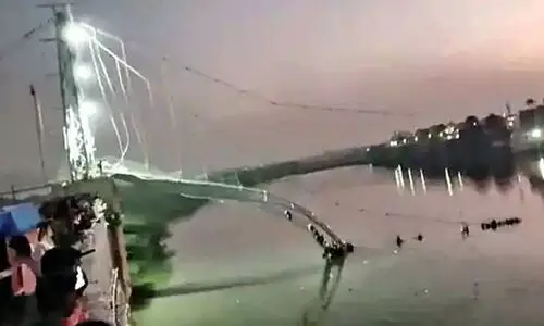 morbey bridge 8978976