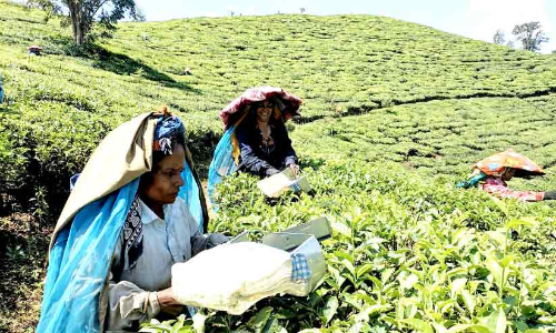 wage contract renewal