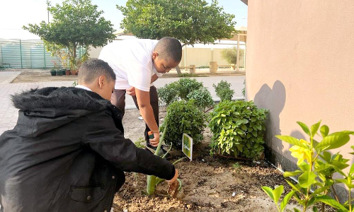 വാ​ദി​സൈ​ൽ സ്​​കൂ​ളി​ൽ മ​രം ന​ടീ​ൽ: 450 വി​ദ്യാ​ർ​ഥി​ക​ൾ പ​ങ്കാ​ളി​ക​ളാ​യി