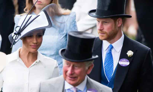 megan, charles, hary