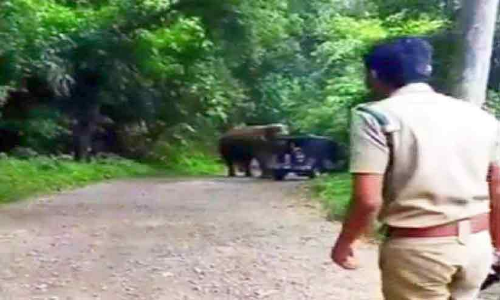 മലക്കപ്പാറയിൽ വനപാലകർക്ക് നേരെ കാട്ടാനയുടെ പരാക്രമം