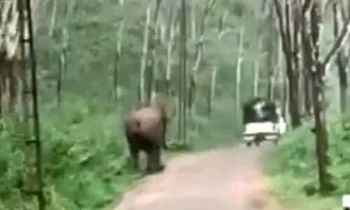 പി​ന്നാ​ലെ പാ​ഞ്ഞ് ഒ​റ്റ​യാ​ൻ; ജീപ്പ്​ യാ​ത്രി​ക​ർ ര​ക്ഷ​പ്പെ​ട്ട​ത്​ ത​ല​നാ​രി​ഴ​ക്ക്