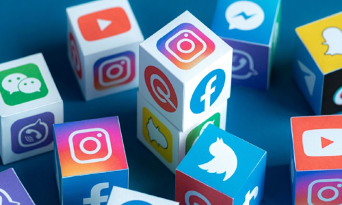 social media Appellate Committee