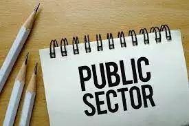 public sector