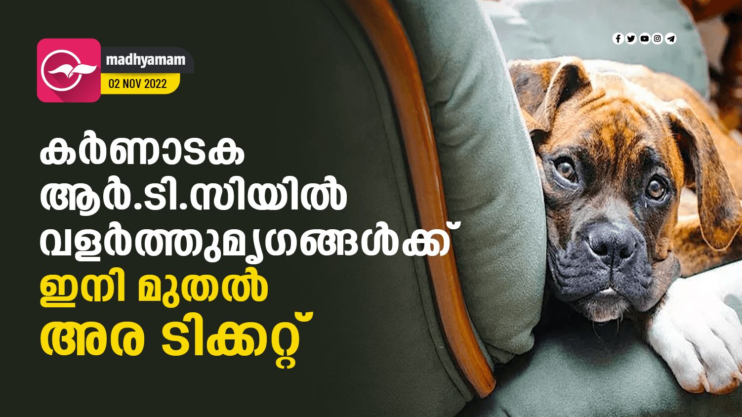 ക ർ ണാ ട ക ആ ർ. ടി. സി യി ൽ വ ള ർ ത്തു മൃ ഗ ങ്ങ ൾ ക്ക് ഇ നി മു ത ൽ അ ര