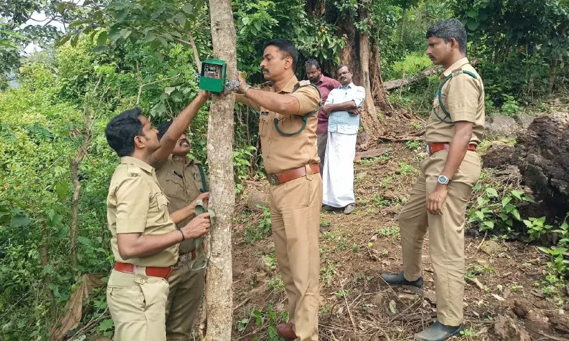 പുലി ഭീഷണി: ഇരുളൻകാട്ടിൽ കാമറ സ്ഥാപിച്ചു