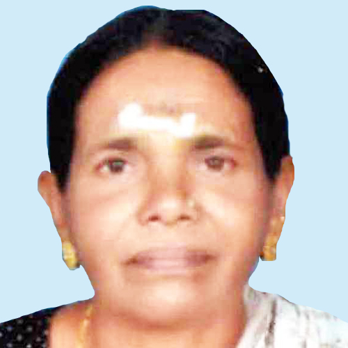 സ​ര​സ്വ​തി