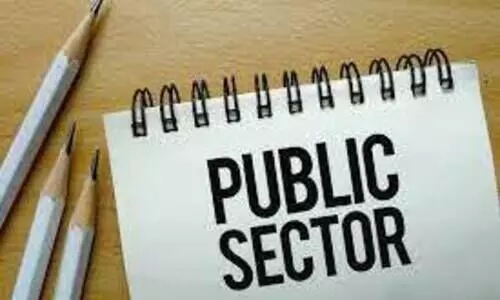 public sector