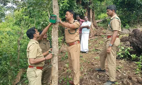 പുലി ഭീഷണി: ഇരുളൻകാട്ടിൽ കാമറ സ്ഥാപിച്ചു