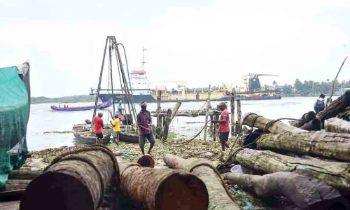 ഫോർട്ട്​കൊച്ചി തീരത്തെ തകർന്ന ചീനവലകളുടെ പുനർനിർമാണം തുടങ്ങി