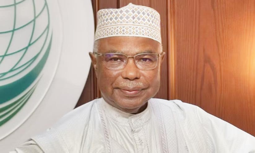 ലോകകപ്പ്: ആരോപണങ്ങളെ നേരിടാൻ ഖത്തറിനൊപ്പം -ഒ.ഐ.സി