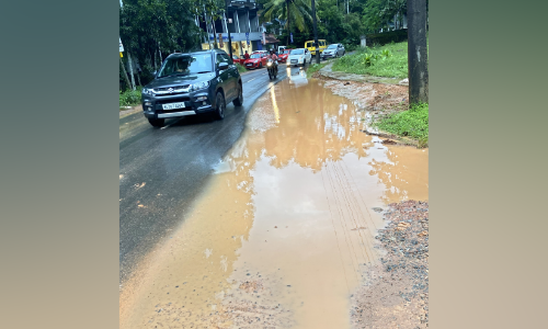 waterlogging waterlogging