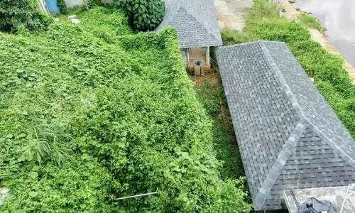 ശബരിമല തീർഥാടനത്തിന് ദിവസങ്ങൾ മാത്രം; കാടുമൂടി സ്നാനഘട്ടം