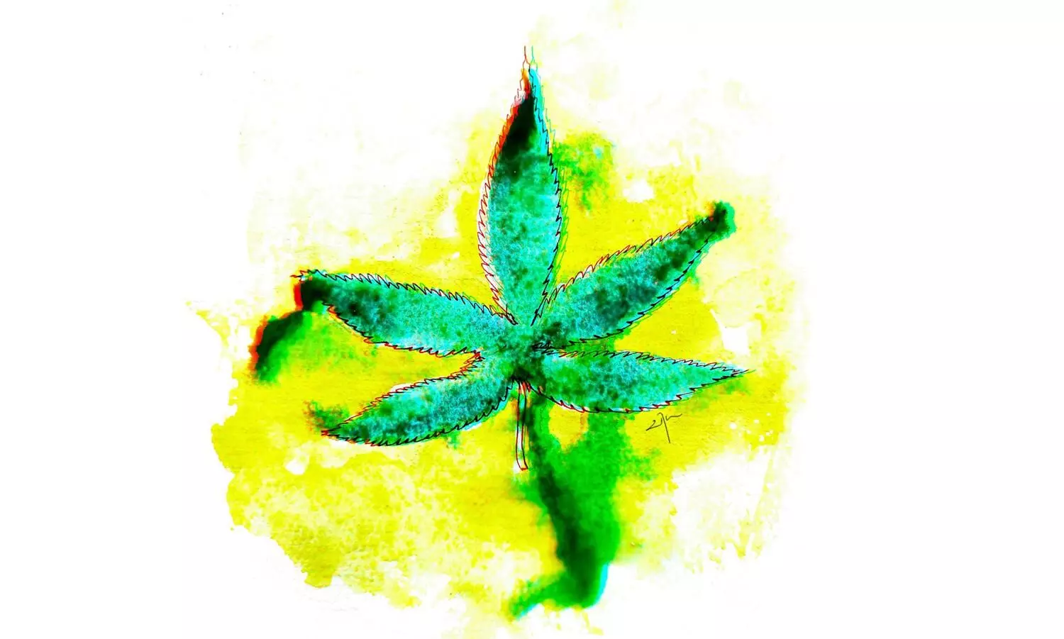 cannabis case cannabis case