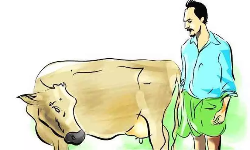 കാലിത്തീറ്റ വില വർധന: ക്ഷീരകർഷകർ സമരത്തിന് കാലിത്തീറ്റ വില വർധന: ക്ഷീരകർഷകർ സമരത്തിന്
