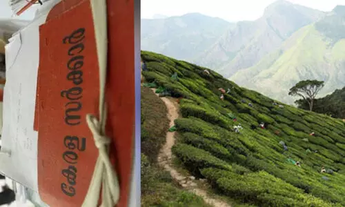 വൻകിടക്കാർ തട്ടിയെടുത്ത ഭൂമി തിരിച്ചു പിടിക്കാൻ നീക്കം