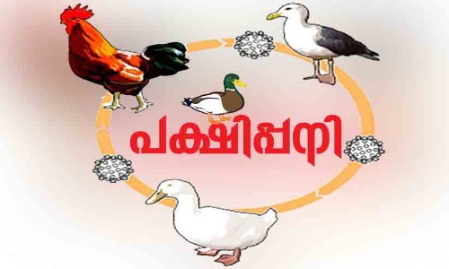 പക്ഷിപ്പനി