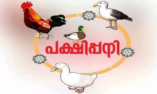 പക്ഷിപ്പനി