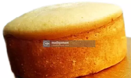 Steam Made Sponge Cake