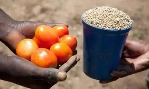 barter system and history of money