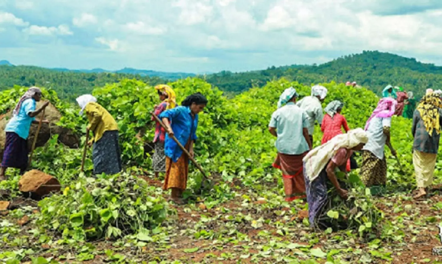 പഞ്ചായത്തിൽ ഒരേ സമയം 20പ്രവൃത്തികള്‍‍ എന്ന നിര്‍ദേശം തിരുത്തി കേന്ദ്രസര്‍ക്കാര്‍