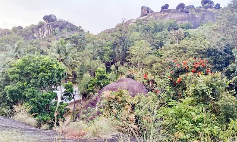 കൃഷ്ണഗിരിയുടെ നിയന്ത്രണം കടുവക്ക്