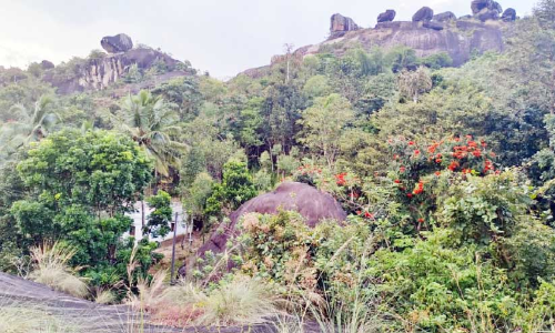 കൃഷ്ണഗിരിയുടെ നിയന്ത്രണം കടുവക്ക്