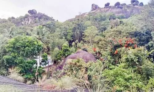 കൃഷ്ണഗിരിയുടെ നിയന്ത്രണം കടുവക്ക്