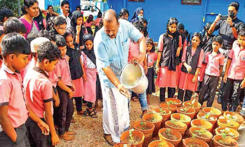 വിദ്യാലയങ്ങളിൽ ശീതകാല പച്ചക്കറിത്തോട്ടം