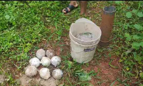 പേരോട്ട് കണ്ടെടുത്ത നാടൻ ബോംബുകൾ