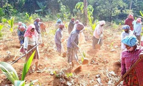 employment guarantee -0979