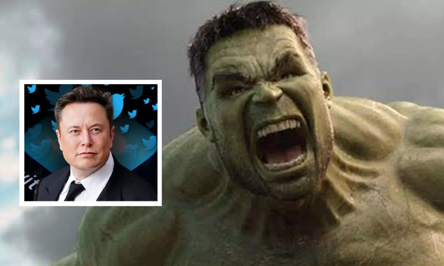 ഇലോൺ മസ്ക് ദയവായി ട്വിറ്റർ വിട്ടുപോകണം -ട്വീറ്റുമായി ഹൾക്