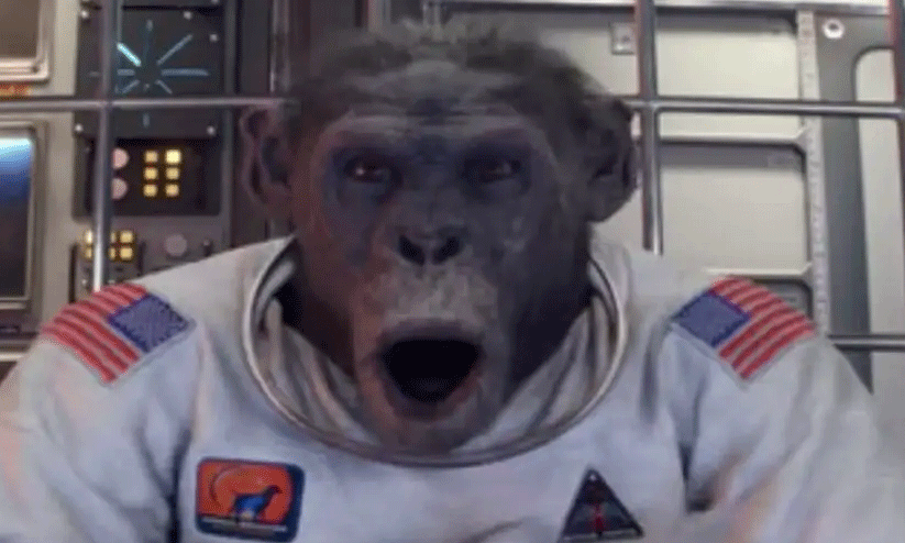 China may be sending monkeys into space for research