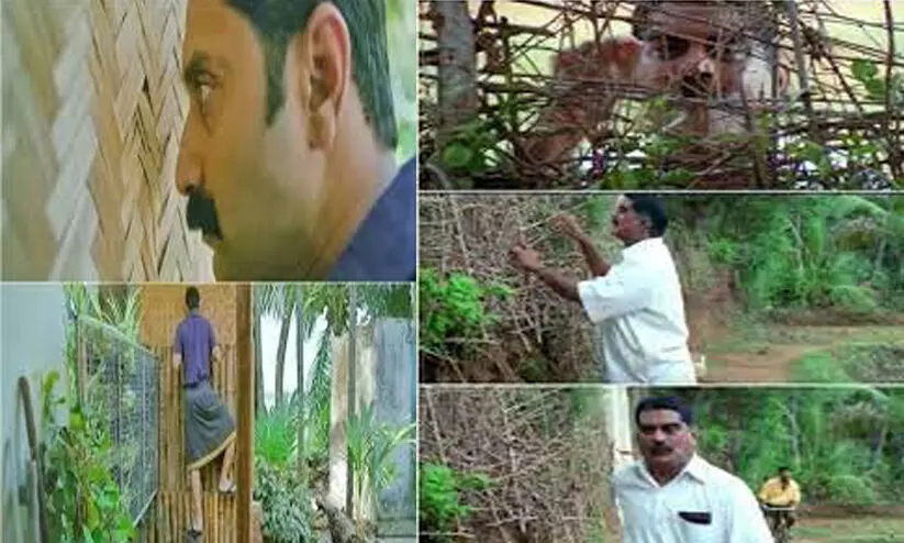 അയൽവാസിയെ ഒളിഞ്ഞുനോക്കാൻ അനുമതിയുമായി പൊലീസ്; ട്രോളോട് ട്രോൾ അയൽവാസിയെ ഒളിഞ്ഞുനോക്കാൻ അനുമതിയുമായി പൊലീസ്; ട്രോളോട് ട്രോൾ