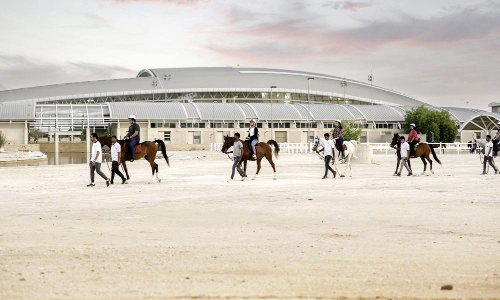 Al Shaqab with Arabian horse show for spectators