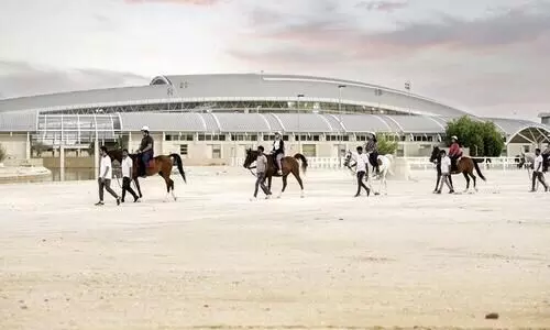 Al Shaqab with Arabian horse show for spectators