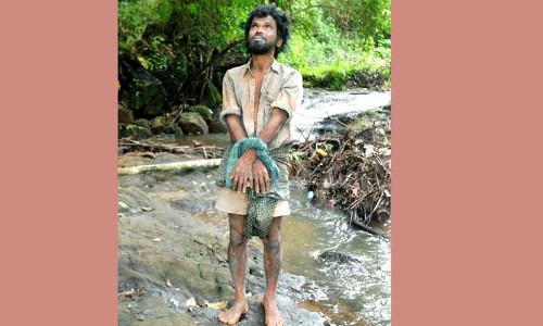 മധുവായി സുരേന്ദ്രൻ