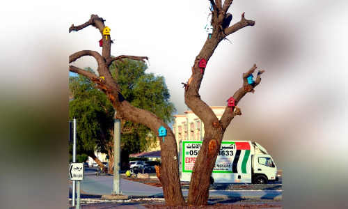 നൻമയുടെ കൂടുകൾ