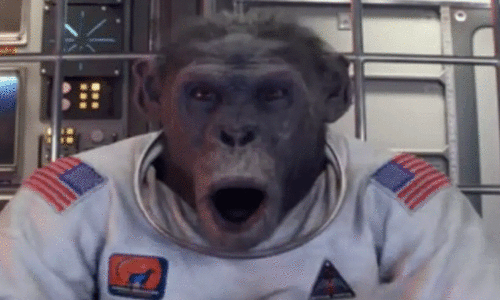 China may be sending monkeys into space for research