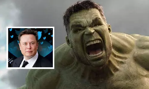 ഇലോൺ മസ്ക് ദയവായി ട്വിറ്റർ വിട്ടുപോകണം -ട്വീറ്റുമായി ഹൾക്