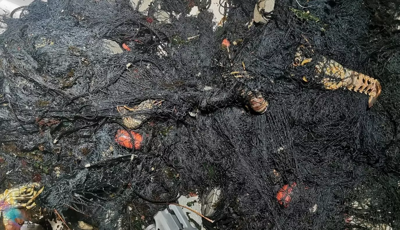 Illegal fishing; Two arrested Illegal fishing; Two arrested