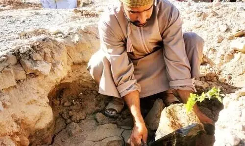 Officials to make Wadi Sarin Green