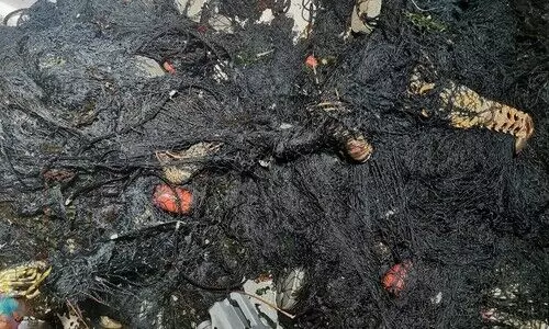 Illegal fishing; Two arrested