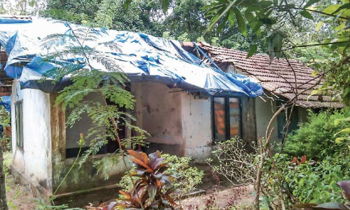 ടാ​ർ​പാ​യ​യു​ടെ മാ​ത്രം സു​ര​ക്ഷ​യി​ൽ