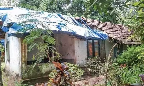 ടാ​ർ​പാ​യ​യു​ടെ മാ​ത്രം സു​ര​ക്ഷ​യി​ൽ