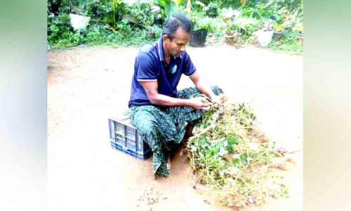 വ്യത്യസ്ത കൃഷികൾ ചെയ്ത് വിപ്ലവം സൃഷ്ടിക്കുകയാണ് റൈഹാൻ