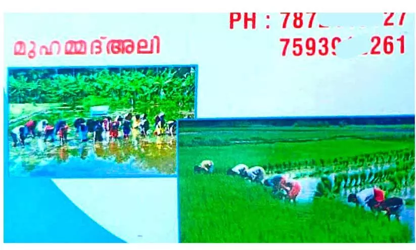 അന്തർസംസ്ഥാന തൊഴിലാളികൾ ഇടനിലക്കാരില്ലാതെ കർഷകരിലേക്ക് നേരിട്ട് അന്തർസംസ്ഥാന തൊഴിലാളികൾ ഇടനിലക്കാരില്ലാതെ കർഷകരിലേക്ക് നേരിട്ട്
