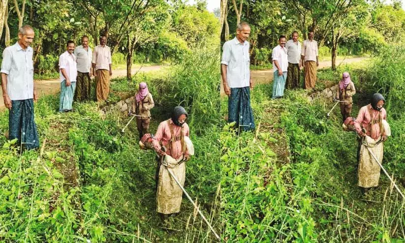 വ​ഴി​മു​ട്ടി ജ​ല​സേ​ച​ന ക​നാ​ൽ ന​വീ​ക​ര​ണം