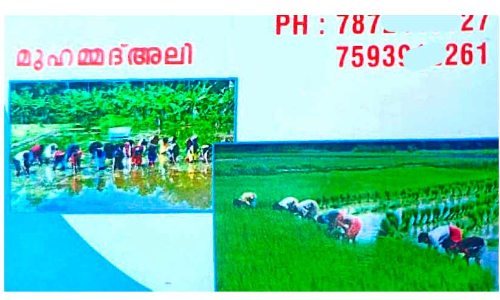 അ​ന്ത​ർ​സം​സ്ഥാ​ന തൊ​ഴി​ലാ​ളി​ക​ൾ   ഇ​ട​നി​ല​ക്കാ​രി​ല്ലാ​തെ ക​ർ​ഷ​ക​രി​ലേ​ക്ക്​ നേ​രി​ട്ട്​