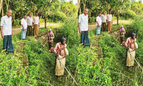 വ​ഴി​മു​ട്ടി ജ​ല​സേ​ച​ന ക​നാ​ൽ ന​വീ​ക​ര​ണം